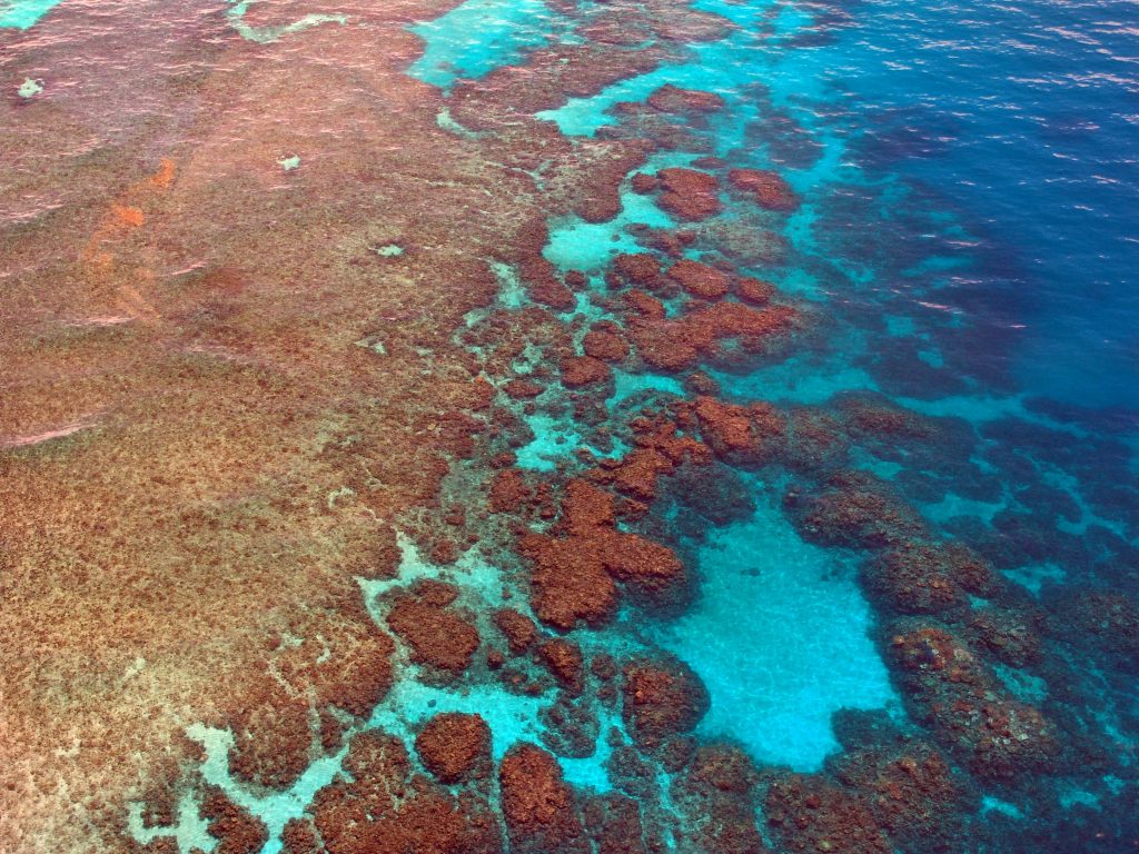 great-barrier-reef-261726-1024x768.jpg