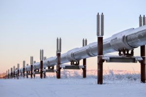 Why Are Oil Prices So Low?